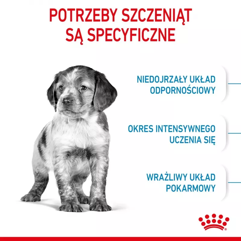 Royal Canin Medium Puppy pienso para cachorros 15 kg