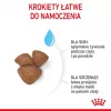Pienso seco para perros Royal Canin Starter Madre & Cachorro 1 kg — pollo, 30% proteina, 22% grasa