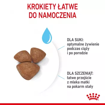Pienso seco para perros Royal Canin Starter Madre & Cachorro 1 kg — pollo, 30% proteina, 22% grasa