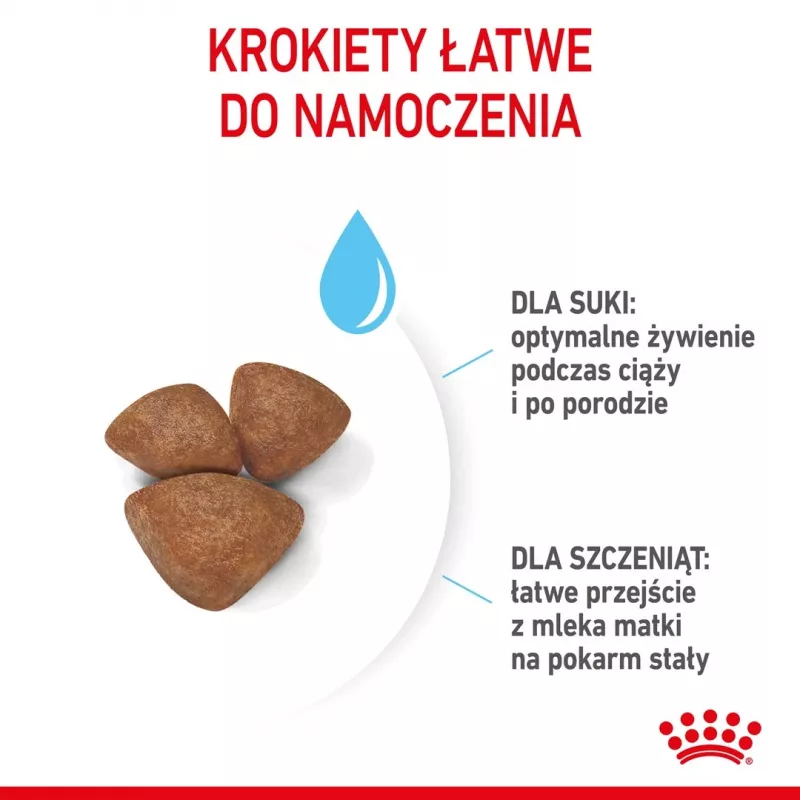 Pienso seco para perros Royal Canin Starter Madre & Cachorro 1 kg — pollo, 30% proteina, 22% grasa