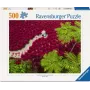 Puzle Ravensburger Ein Meer aus Rot — 500 piezas, arte, a partir de 12 años
