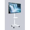 Soporte de suelo para TV Gembird con ruedas para 32–55 pulgadas, blanco, VESA 100x100–400x400, 30 kg