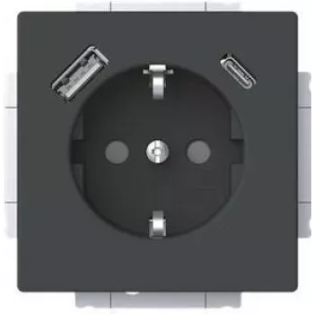 Busch-Jaeger Toma SCHUKO USB-A+C 20 EUCB2USBAC-885 (2CKA002011A6312)
