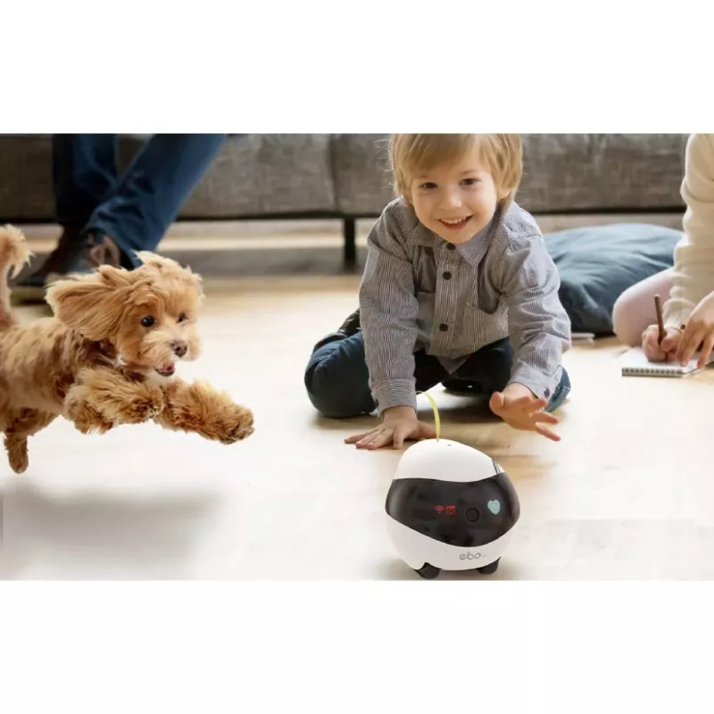 ENABOT Ebo Air Robot AI Blanco y Negro