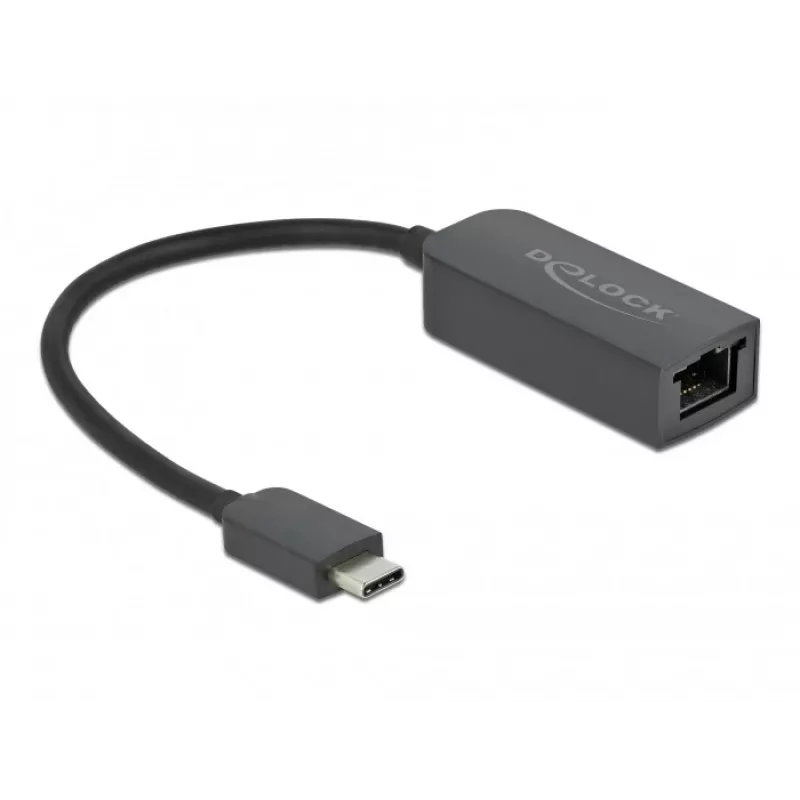 Adaptador USB Type-C macho a LAN 2,5 Gigabit compacto DeLOCK 66645