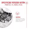 ROYAL CANIN Ageing 15+ pienso seco para gatos – 4 kg