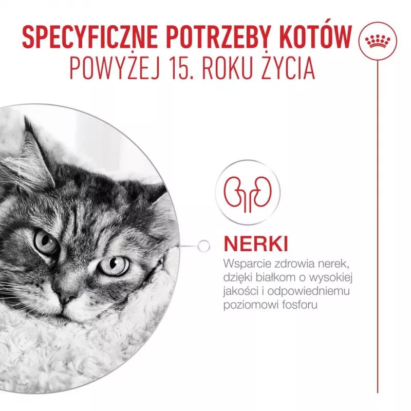 ROYAL CANIN Ageing 15+ pienso seco para gatos – 4 kg