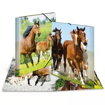 HERMA 7140 Carpeta de polipropileno (PP) Multicolor A4