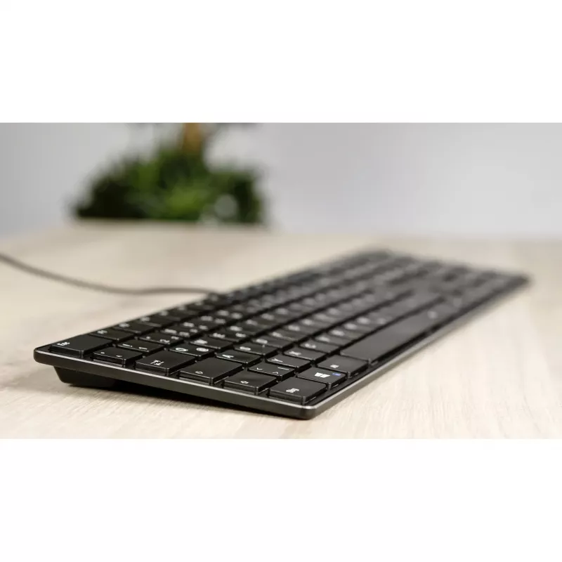 Teclado SPEEDLINK SL-640010-BK USB alemán negro tamaño completo 110 teclas