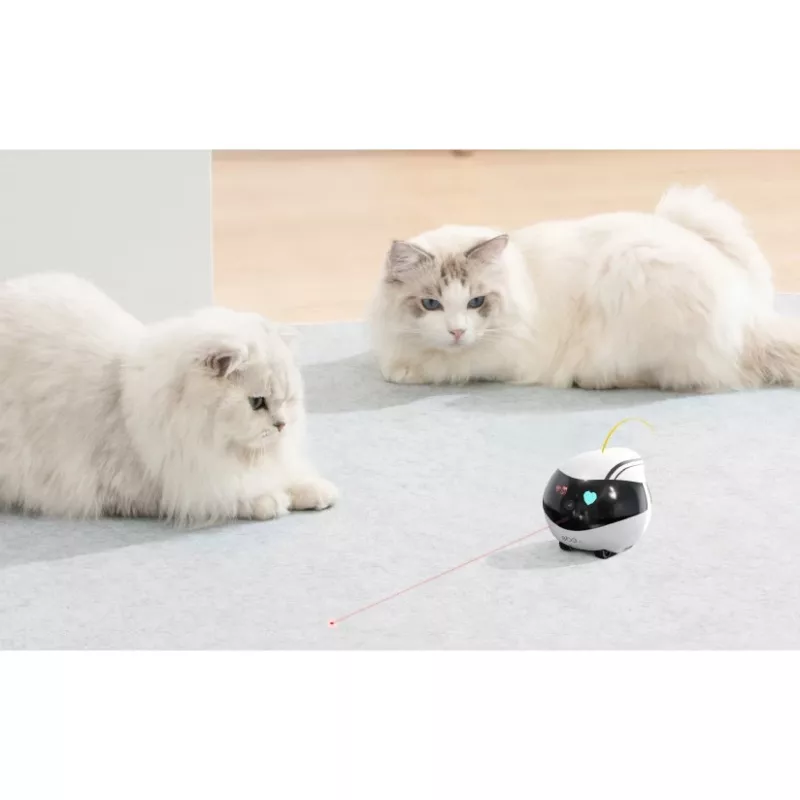 ENABOT Ebo Air Robot AI Blanco y Negro
