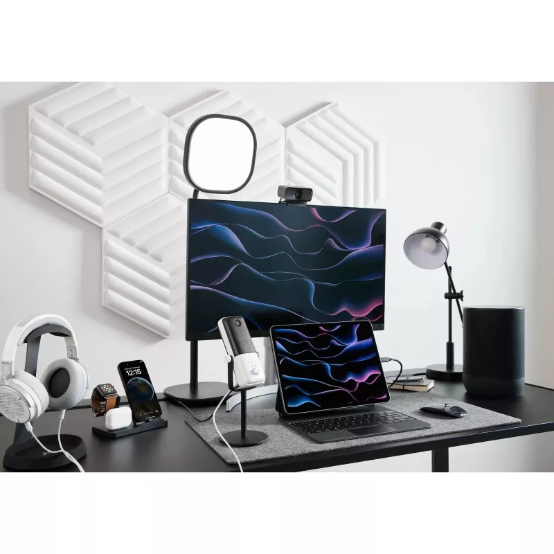 Elgato Facecam MK2 Webcam, Full HD, HDR, con software de control de cámara, Negro