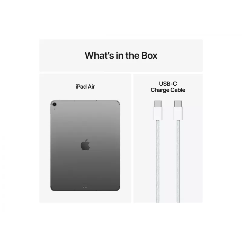 Apple iPad 13