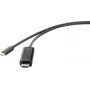 Adaptador de cable Renkforce RF-4531590 USB-C HDMI negro (RF-4531590)