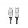 Cable DisplayPort LANBERG CA-DPDP-20CU-0010-BK — DisplayPort a DisplayPort, 1 m, negro/plata