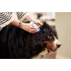 Solución de limpieza de oídos VIRBAC EPI-OTIC S-I-S para perros y gatos 60 ml