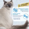 INABA Churu Skin&Coat Receta de pollo – Snacks para gatos – 4x14 g