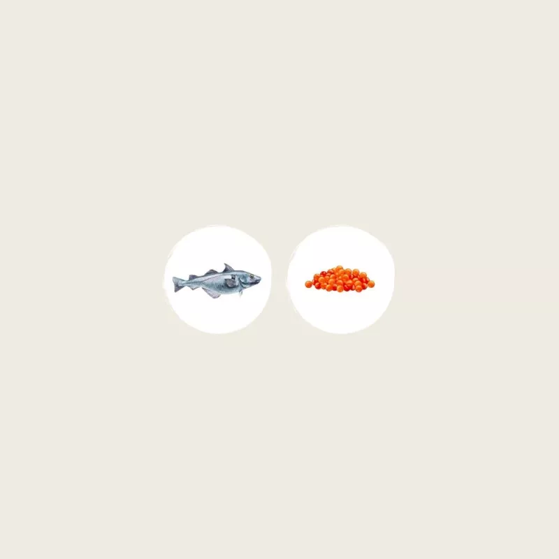 EDEN Pescado blanco con caviar de arenque - Alimento seco para gatos - 1,5 kg