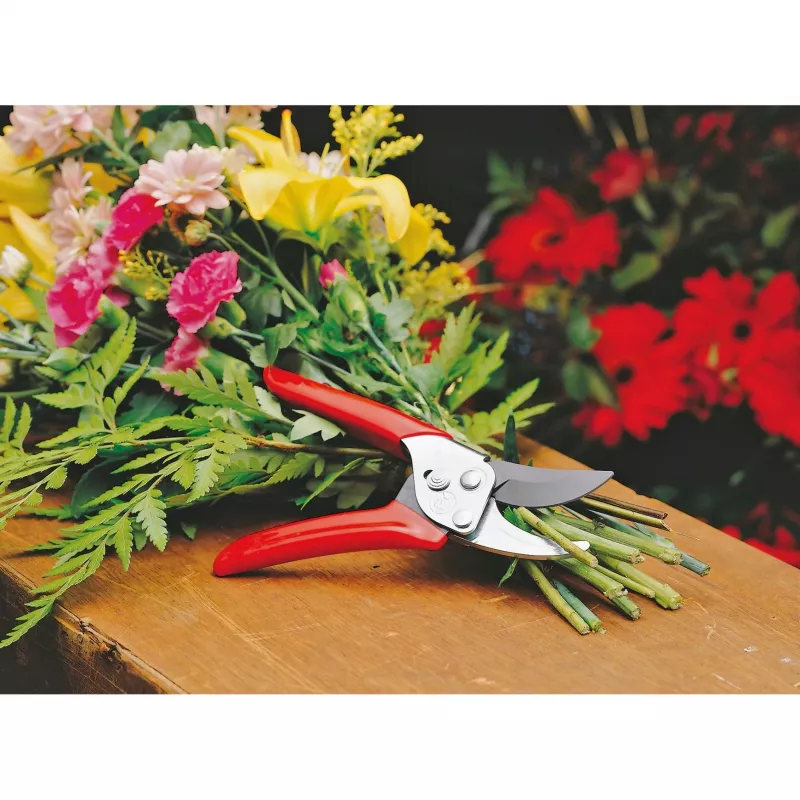 Wolf-garten 73AFA008650 rojo