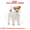 ROYAL CANIN Jack Russell Adult - pienso seco para perros - 7,5 kg