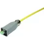 HARTING Germany GmbH & Co. KG Conector RJ-45 09451151520