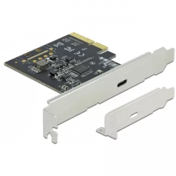 DeLOCK - Adaptador USB - PCIe 3.0 x4 Low-Profile - USB 3.2 Gen 2x2 x 1 (89036)