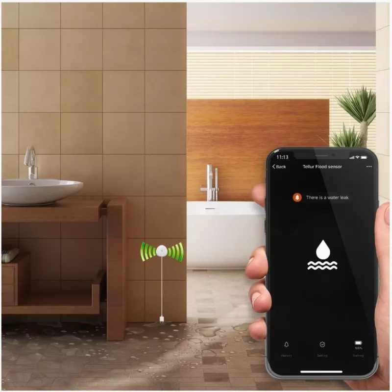 Sensor de inundación Tellur WiFi AAA blanco – detector de agua inalámbrico, a pilas (AAA)