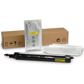 Unidad reveladora HP LaserJet Z7Y73A amarillo