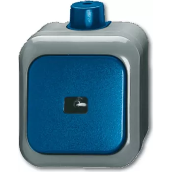 BUSCH JAEGER 2621 WDI - 1P - verde - gris - 250 V - 74 mm - 54 mm - 80 mm