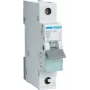 Hager MCS125. Corriente nominal: 25 A. Tipo: característica C, número de módulos (máx.): 1 módulo(s). Anchura: 17,5 mm, profundidad: 70 mm, altura: 83,4 mm (MCS125)