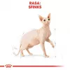 Royal Canin Sphynx Adult comida seca para gatos, 2 kg