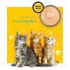 3COTY Chicken para gatitos - comida húmeda para gatos - 80g