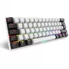 Sharkoon SGK50 S4 teclado Home USB QWERTZ alemán blanco RGB LED 60%