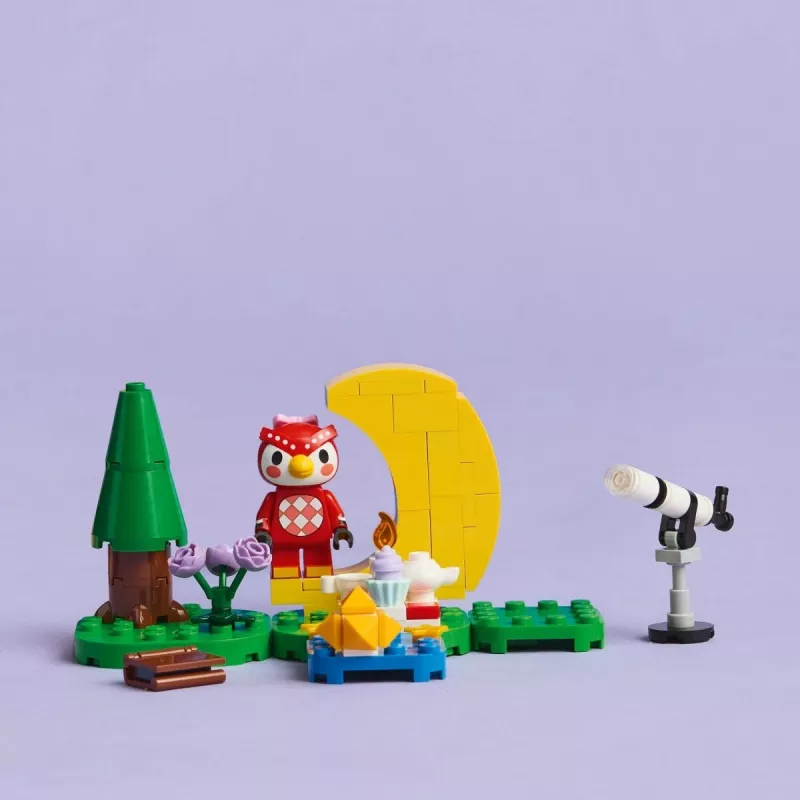 LEGO Animal Crossing Observación de estrellas con Eufemia Set 77053