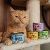 PAKA ZWIERZAKA conejo - alimento húmedo para gatos - 200g