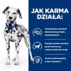 HILL'S Prescription Diet Urinary Care Original - Comida húmeda para perros - 370g