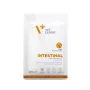 VetExpert Veterinary Diet Intestinal Cat comida húmeda para gatos 100 g