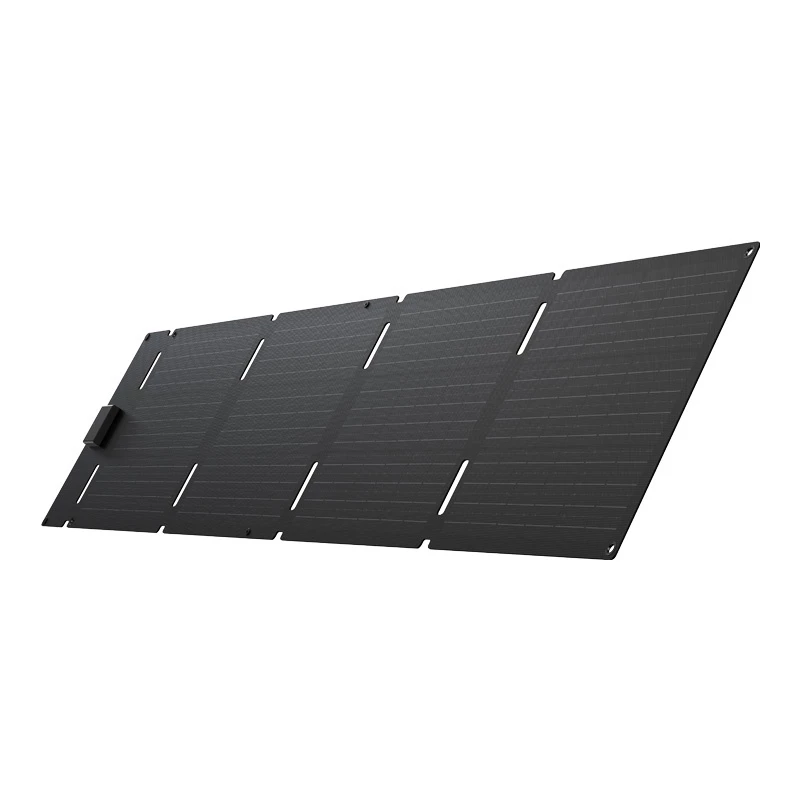 Panel solar plegable portátil EcoFlow 60W (USB-C)