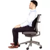 Soporte lumbar para silla/Back Angel 8026401 FELLOWES