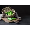 Pepino Wisconsin SMR 58 Toraf semillas de hortalizas, paquete de 5 g