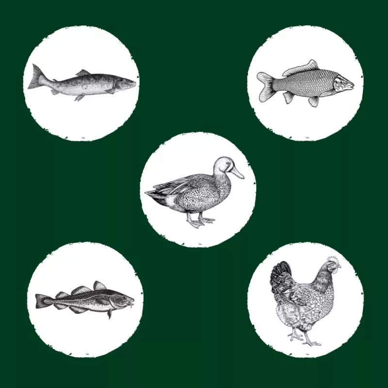 Eden Original Cousine comida seca para gatos, 10 kg