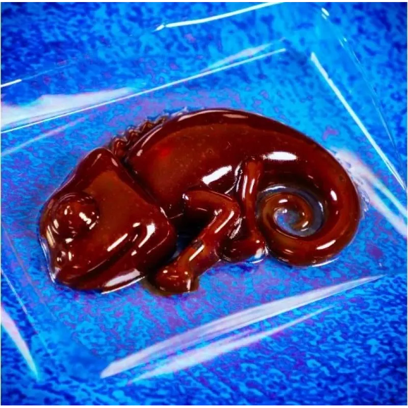 Kit de ciencia Liscianigiochi Crazy Science Slime Camaleón 304-PL89246 – set educativo de experimentos con slime
