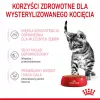 Royal Canin FHN Kitten Sterilised comida húmeda para gatos en salsa, pack de 12 x 85 g