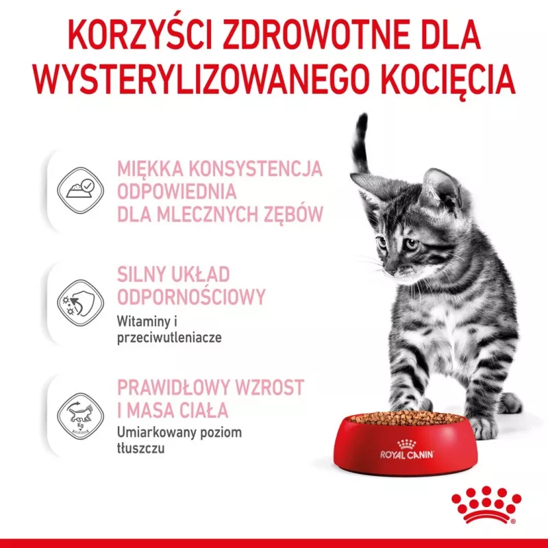 Royal Canin FHN Kitten Sterilised comida húmeda para gatos en salsa, pack de 12 x 85 g