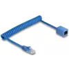 Cable de red DeLOCK 90365 1,2 m Cat6 U/UTP