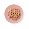 Comida húmeda para gatos Applaws filete de atún con salmón en caldo — bolsa 156 g, 15 % proteína, 80 % humedad