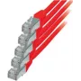 Cable de red S/CONN Cat. 6 rojo 1 m