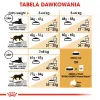 Royal Canin Bengal Adult pienso seco para gatos, 2 kg, aves y verduras