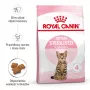 Royal Canin Kitten Sterilised alimento seco para gatos 3,5 kg aves
