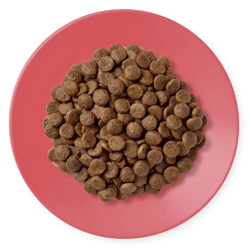 APPLAWS Adult Chicken con pato - Comida seca para gatos - 400 g