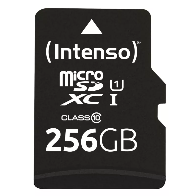 Memoria flash Intenso 256 GB UHS-I microSD Performance Class 10